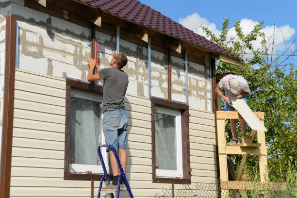 Best Custom Trim and Detailing for Siding  in Audubon, PA